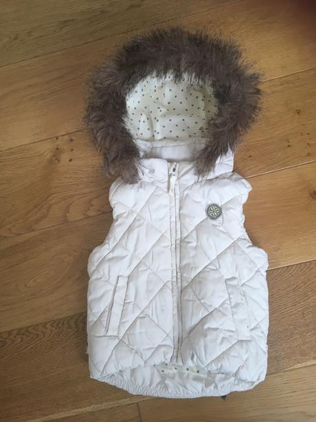 Vesta lindex, lindex,110