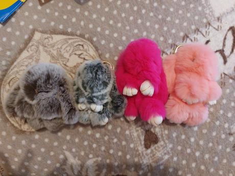 Jemnucke zajačiky, festina