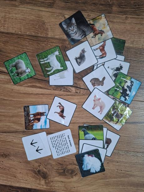 Kartičky domáce zvierata 14 parov, 