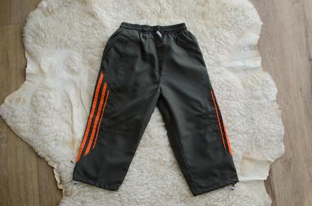 Nohavice, success,98