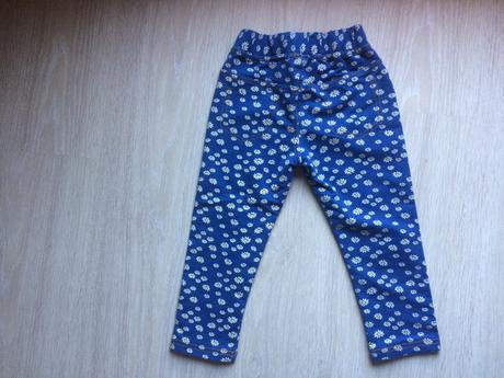 Kvetovane leginy, lusa,104