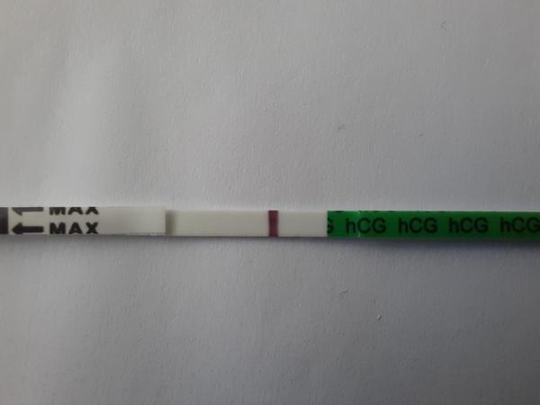 Tehotenský test Lekáreň PLUS