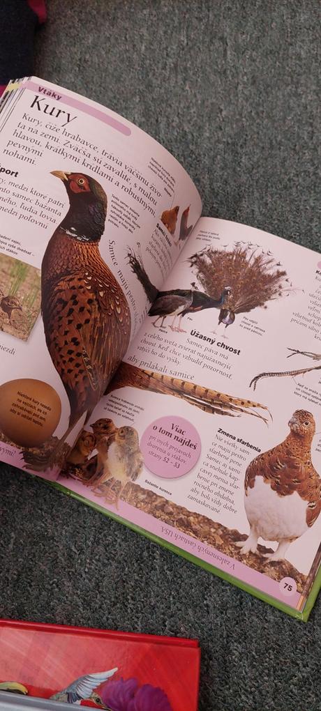 Moja prvá encyklopédia zvierat, 