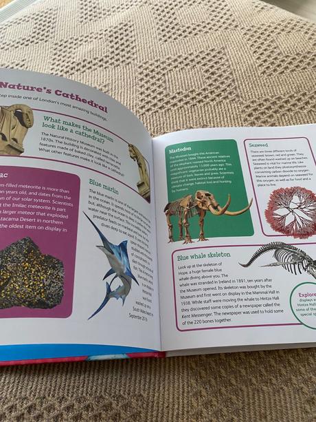 London natural history museum kids only, 