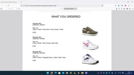 Reebok classic rapide, reebok classic nylon, reebok,42