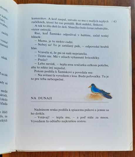 Hľadajte šamíska, 