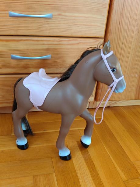 Konik,