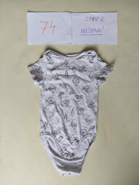 Body, morsky svet, fox & bunny,74