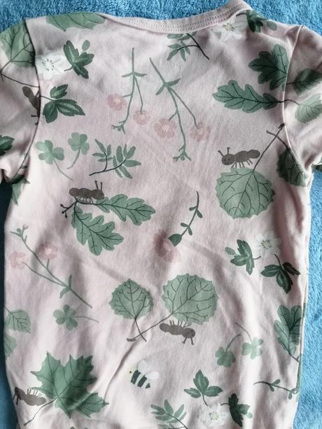 Body listy, lindex,74