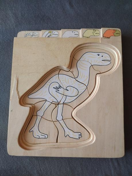 Viacvrstvové drevené anatomické puzzle dinosaurus, 