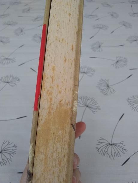 Bratislavské krutosti - boris filan, 