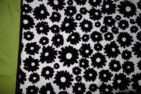 Nove satocky st.bernard, st. bernard,158