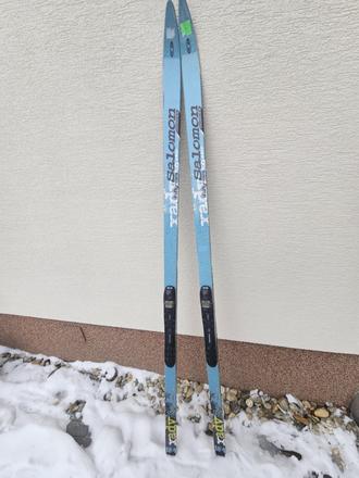 Bežky salomon, salomon