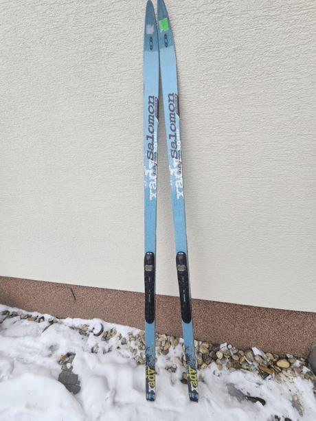 Bežky salomon, salomon