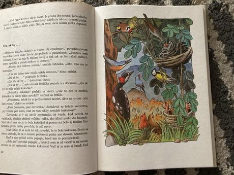 Utečenec na vtáčom strome (1982), 