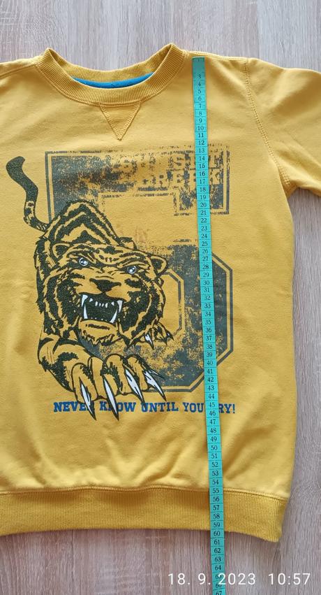 Mikina, chapter young,146