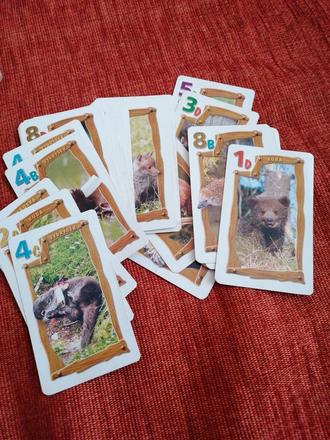 Spoločenská hra-karty, 