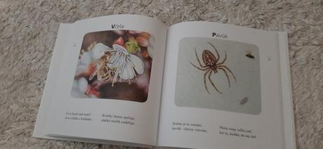 Kamaráti zvieratka, 