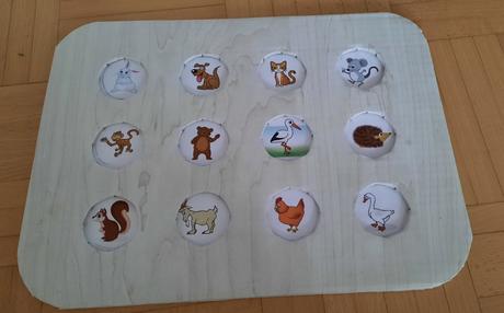 Multifunkčná edukativna pomôcka, 