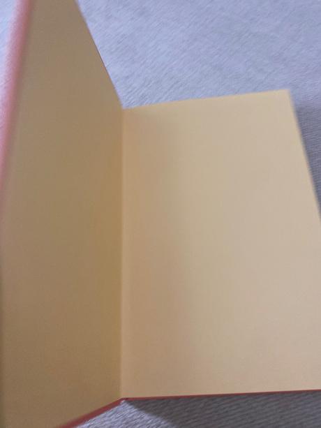 Priateľstvo plné koláčikov 1 cukor a škorica linda, 