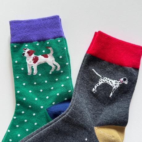 Dámske vysoké ponožky nzp8755, 35 / 36 / 37 / 38