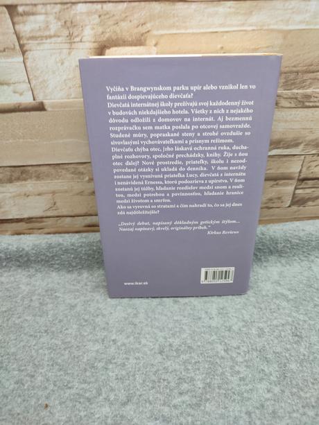 Denník nočného motýľa - rachel kleinová,