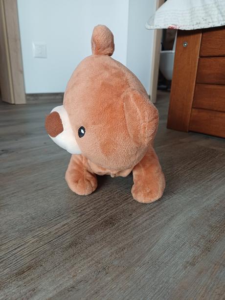 Lezuci medvedík vtech, 