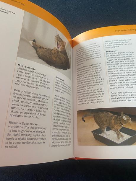 Život s mačkou starostlivosť, kŕmenie a zábava  de, 