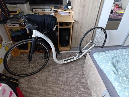 Cestná kolobežka kickbike race max, 