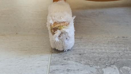 Hojdacie lehátko pre mačky, 