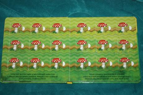 Pexeso na cesty na lúke,