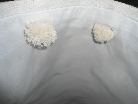 Velka bielo-modra plazova taska, 