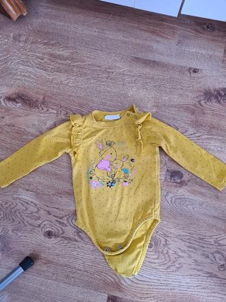 Body, coccodrillo,68