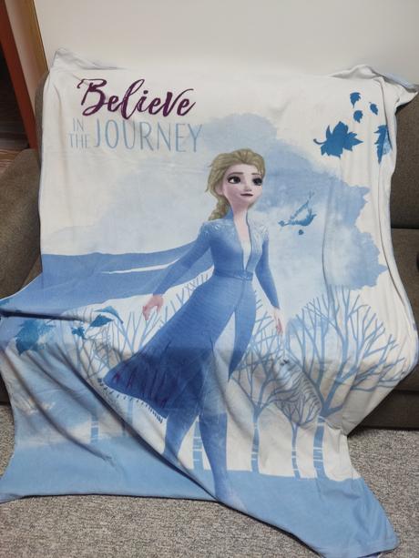 Mikroplyš obliečky frozen, 