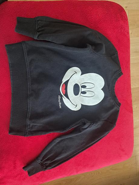 Mikina, disney,110