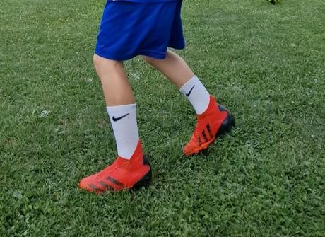 Adidas predator, adidas,31