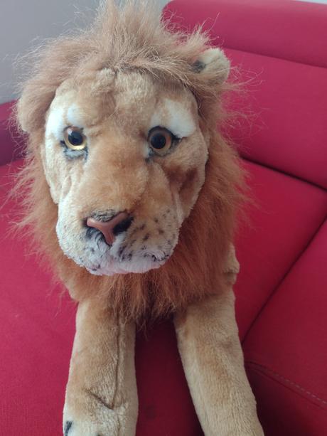 Veľký plyšový lev, 