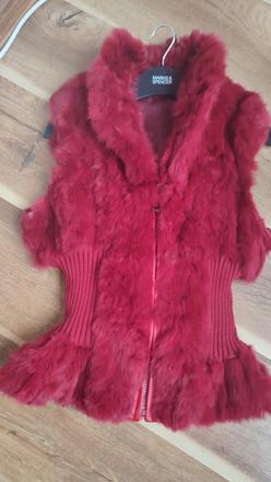 Kožušinova vesta, s