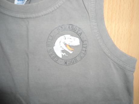Dino tricko, takko,116