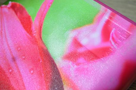 Rozkladací desiatový/potravinový box, 