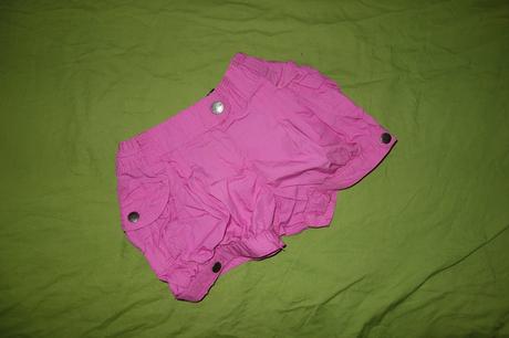 Nove kratasky palomino, palomino,104