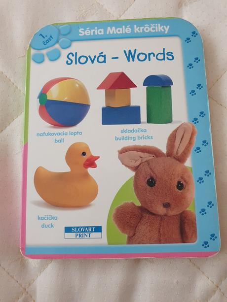 Anglicko-slovenká knižka,