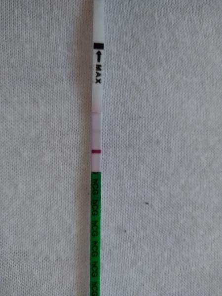 Čo vidíte vy na teste? Som tehotná? Či je zlý test?