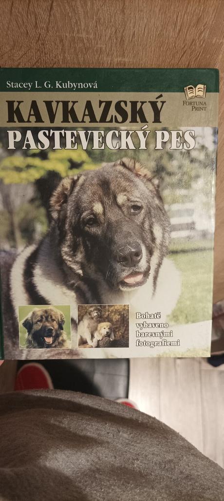 Kavkazský pastevecký pes,