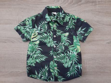 Kosela lindex, lindex,104