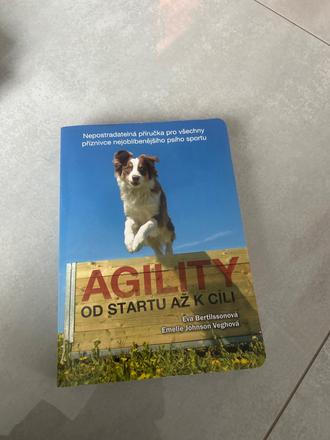 Agility od startu až k cili,