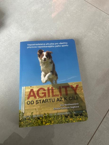Agility od startu až k cili,