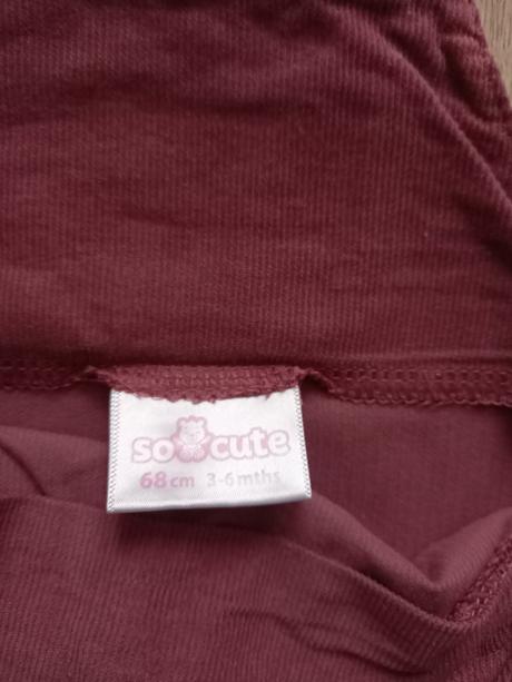 Sukňa, body, pepco,68