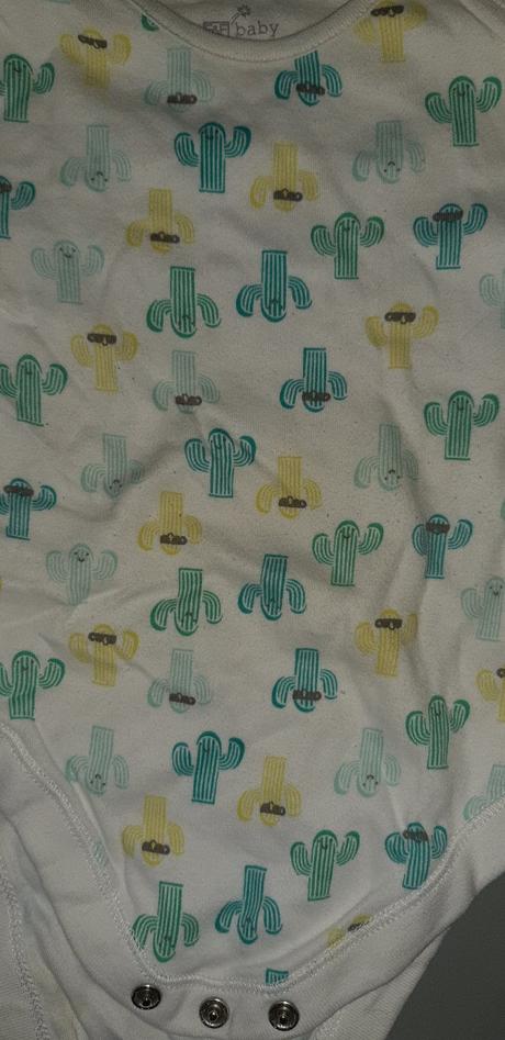 Body s kaktusmi, f&f,74