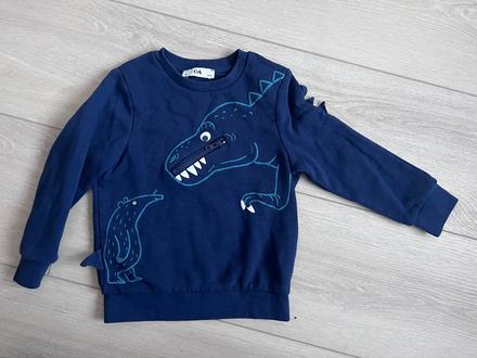 Mikina s dinosaurom, c&a,110